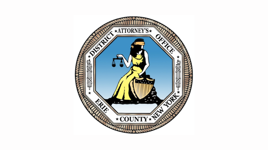 Williamsville woman pleads guilty to stealing 266K from employer